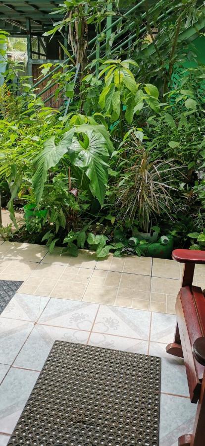 Cabinas Mitchaelle'S Puerto Viejo de Talamanca 外观 照片