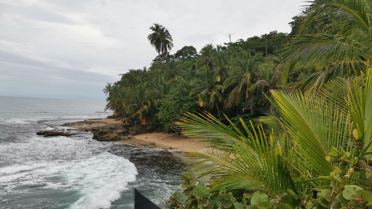 Cabinas Mitchaelle'S Puerto Viejo de Talamanca 外观 照片