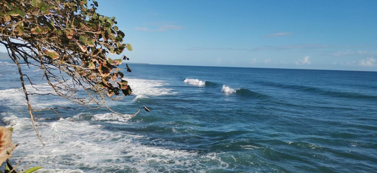 Cabinas Mitchaelle'S Puerto Viejo de Talamanca 外观 照片